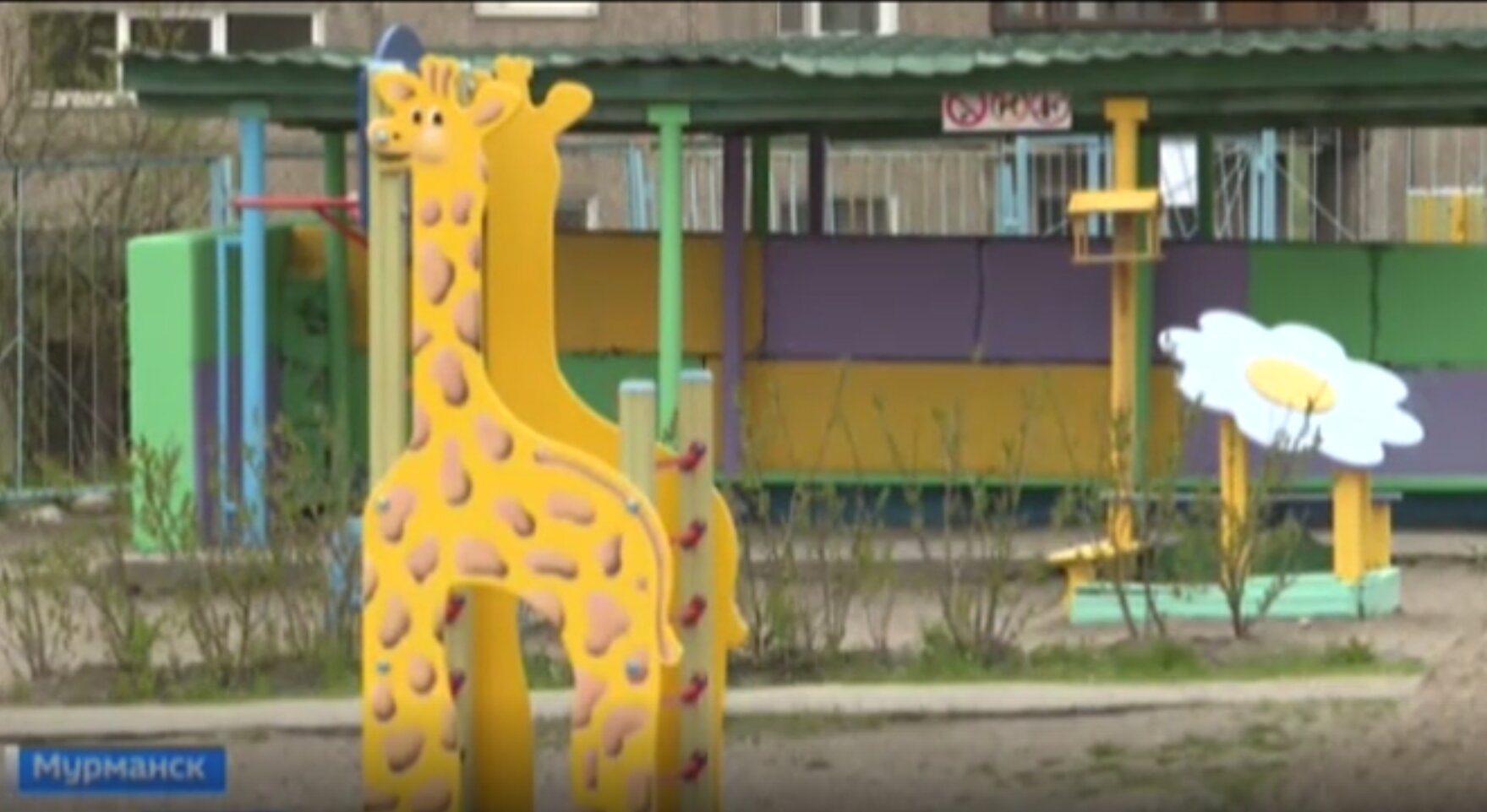 Жирафики